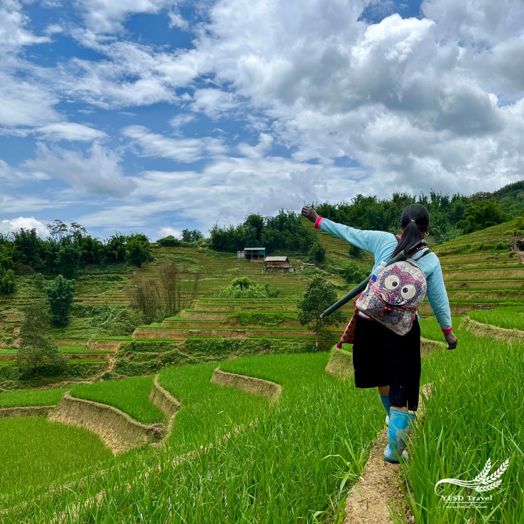 Thác Bản Cát Cát